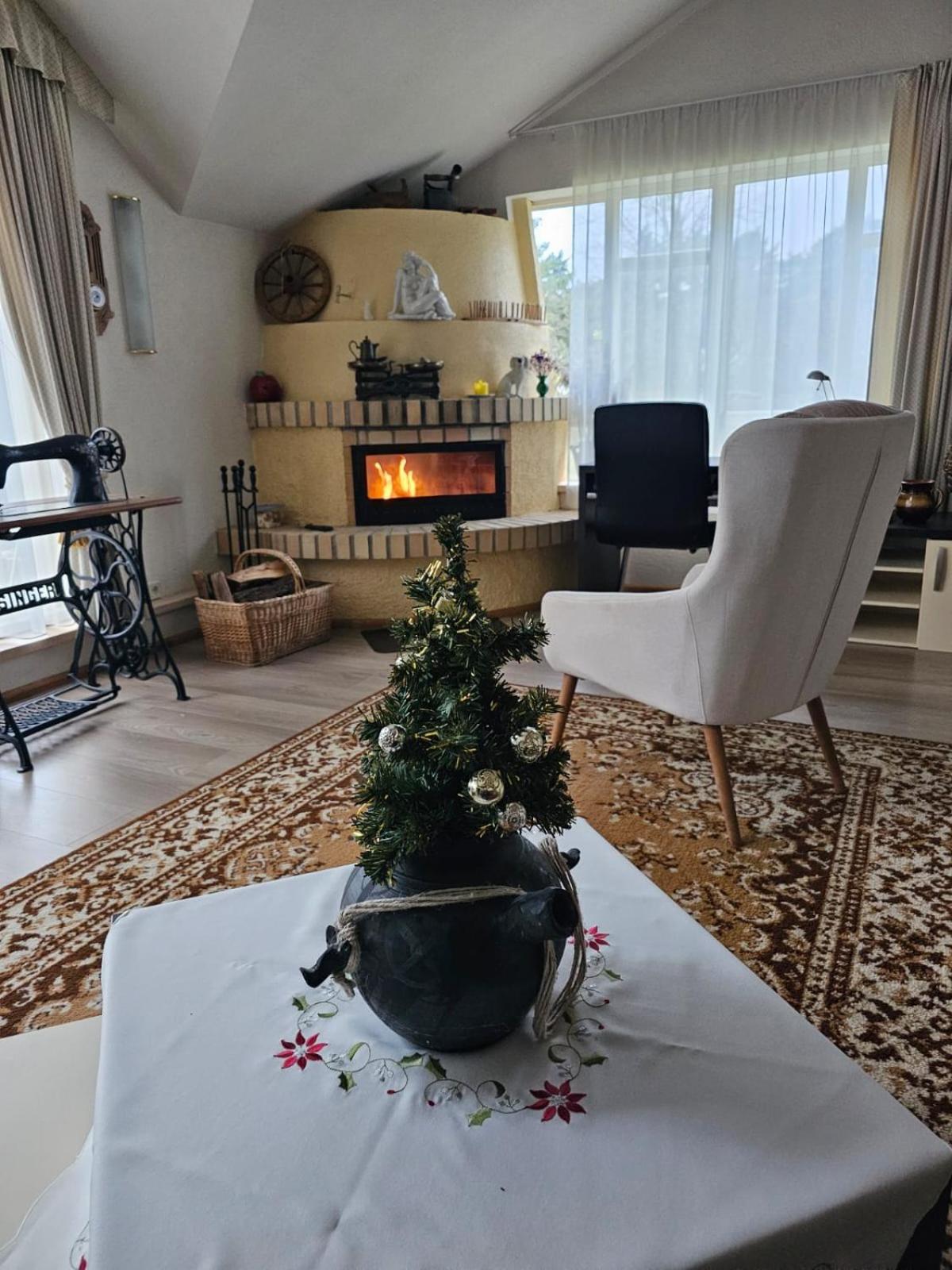 Villa Leonardo Ventspils Extérieur photo